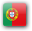 Portuguese (Portugal)